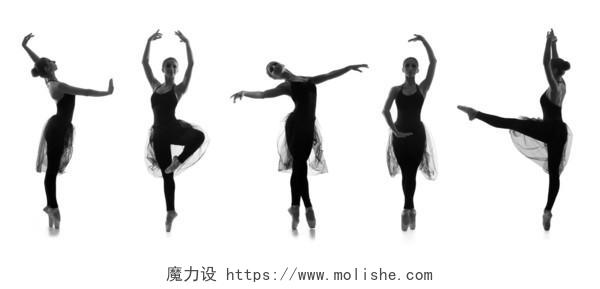 集合不同芭蕾舞的姿势孤立的白色衬底上的黑色和白色剪影美女三七女生节37女生节